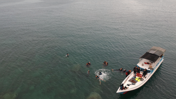 Karimunjawa: Beyond the Postcard – My Journey to Java’s Secret Island Paradise